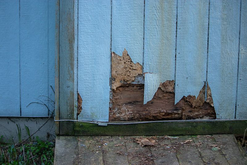 Siding Repair Experts