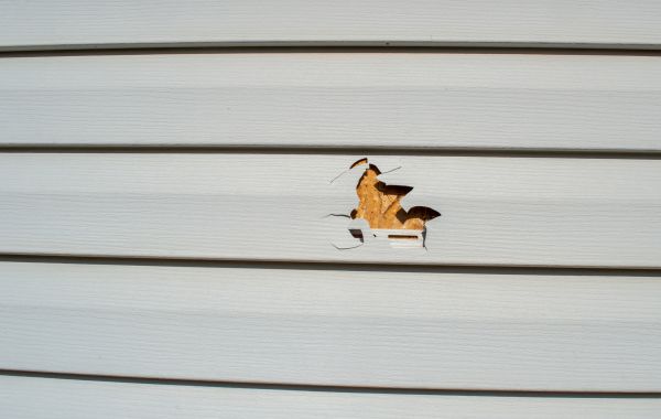 Cost of Siding Hole Patching in Brentwood